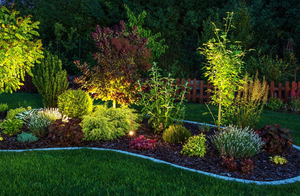 outdoor landscape lighting