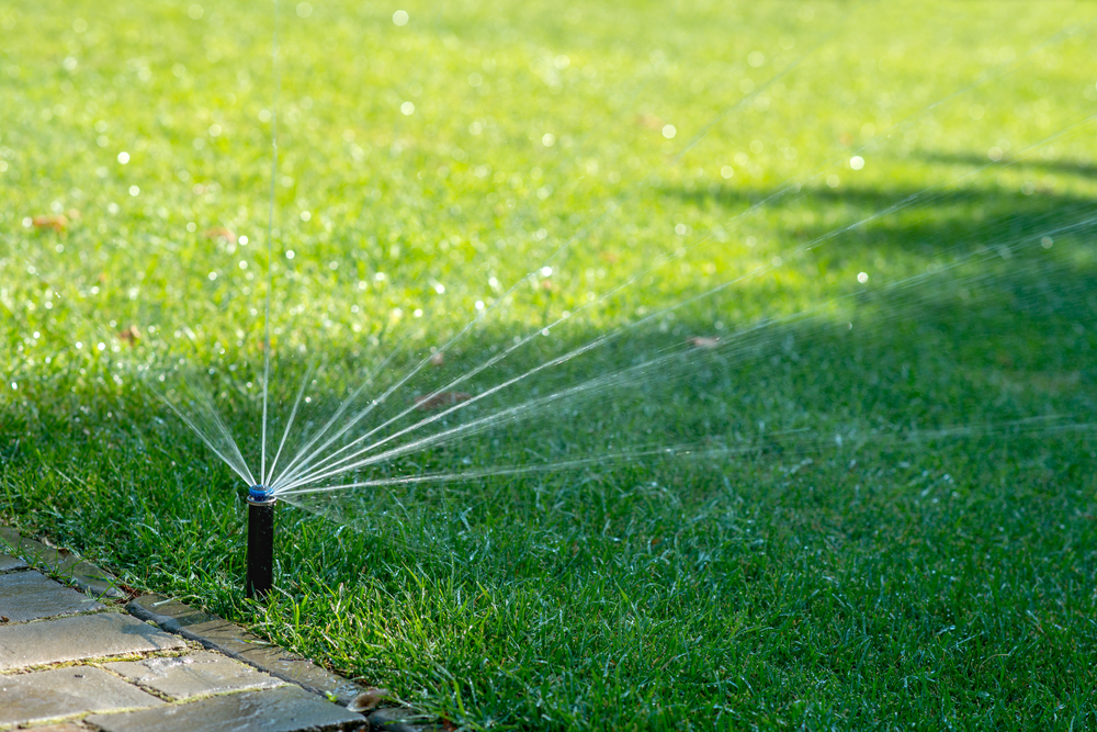 Lawn Irrigation System